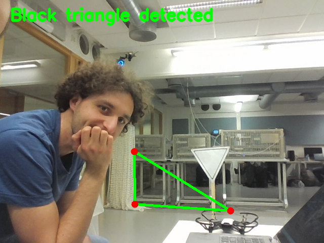 Vision-Based Autonomous Drone Control